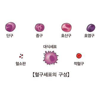 호중구감소증